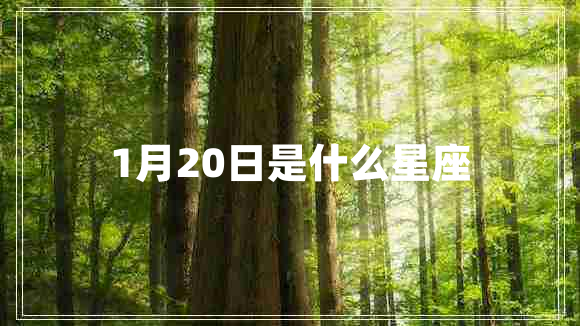 1月20日是什么星座