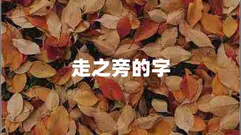 走之旁的字