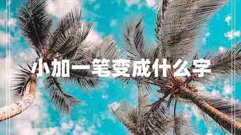 小加一筆變成什么字