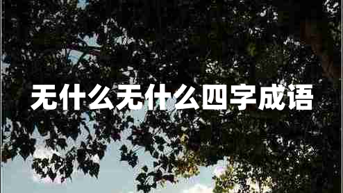無(wú)什么無(wú)什么四字成語(yǔ)