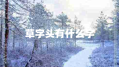 草字頭有什么字