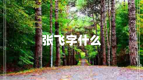 張飛字什么