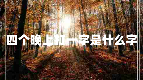四個(gè)晚上打一字是什么字
