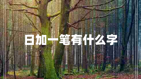 日加一筆有什么字 日加一筆有什么字