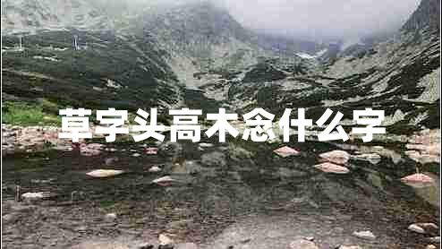 草字頭高木念什么字