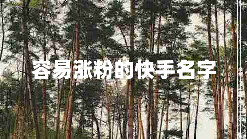 容易漲粉的快手名字 容易漲粉的快手名字