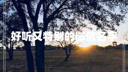 好聽又特別的微信名字
