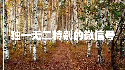 獨(dú)一無(wú)二特別的微信號(hào)