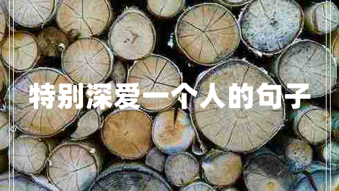 特別深愛一個(gè)人的句子