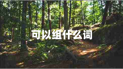可以組什么詞