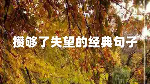 攢夠了失望的經(jīng)典句子