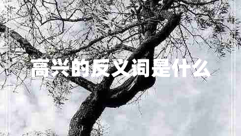 高興的反義詞是什么