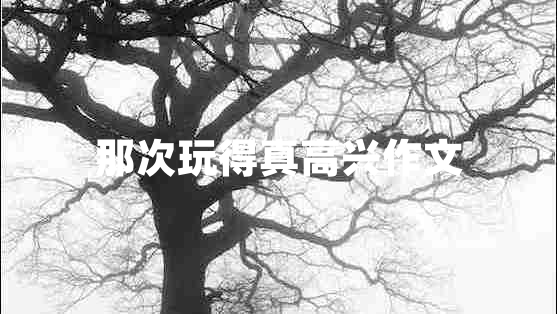 那次玩得真高興作文 那次玩得真高興作文