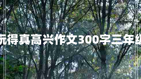 那次玩得真高興作文300字三年級上冊