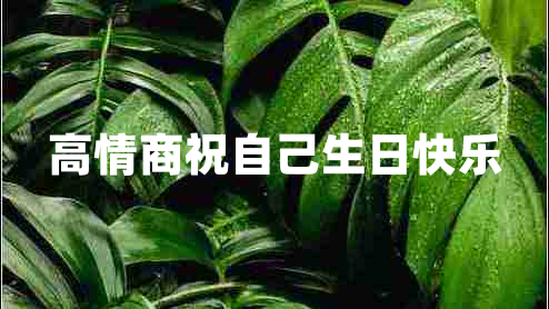 高情商祝自己生日快樂