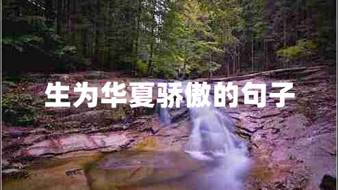 生為華夏驕傲的句子 生為華夏驕傲的句子