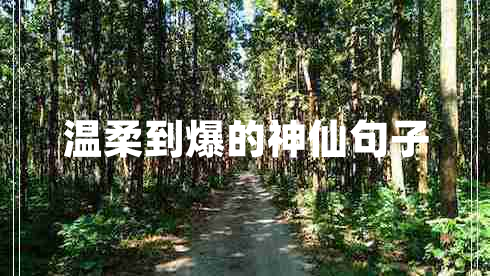 溫柔到爆的神仙句子 溫柔到爆的神仙句子