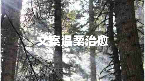 文案溫柔治愈 文案溫柔治愈