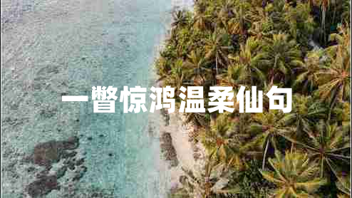 一瞥驚鴻溫柔仙句 一瞥驚鴻溫柔仙句