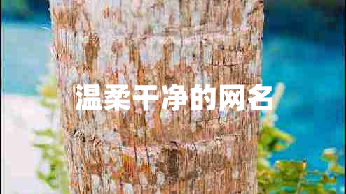 溫柔干凈的網(wǎng)名 溫柔干凈的網(wǎng)名