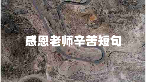 感恩老師辛苦短句