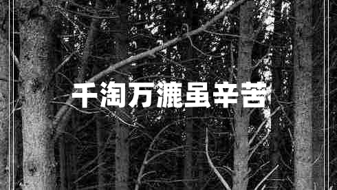 千淘萬漉雖辛苦