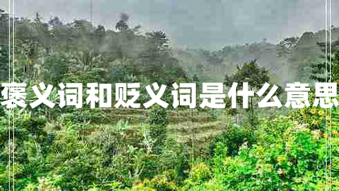 褒義詞和貶義詞是什么意思