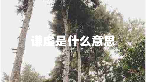 謙虛是什么意思