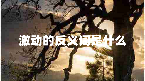 激動的反義詞是什么