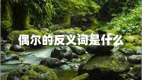 偶爾的反義詞是什么