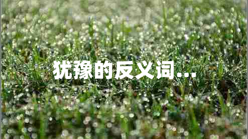 猶豫的反義詞…