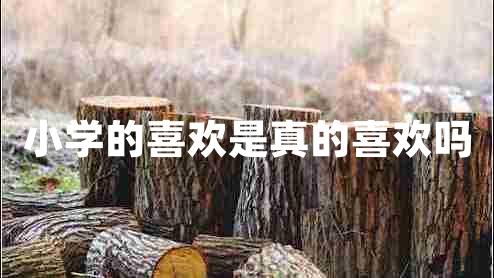 小學(xué)的喜歡是真的喜歡嗎