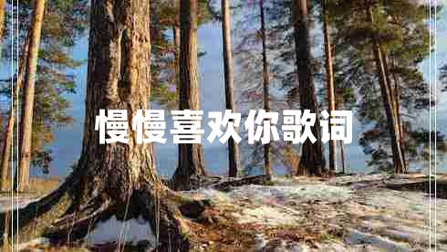 慢慢喜歡你歌詞