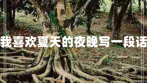 我喜歡夏天的夜晚寫一段話