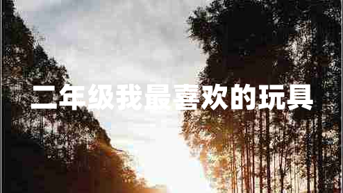 二年級(jí)我最喜歡的玩具