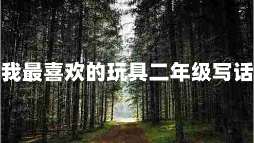 我最喜歡的玩具二年級(jí)寫話 我最喜歡的玩具二年級(jí)寫話