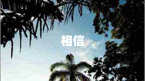 相信