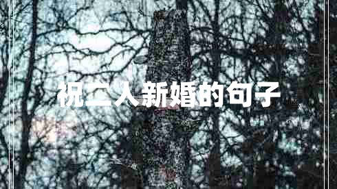 祝二人新婚的句子 祝二人新婚的句子