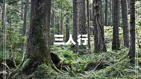 三人行 三人行
