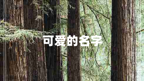可愛的名字 可愛的名字