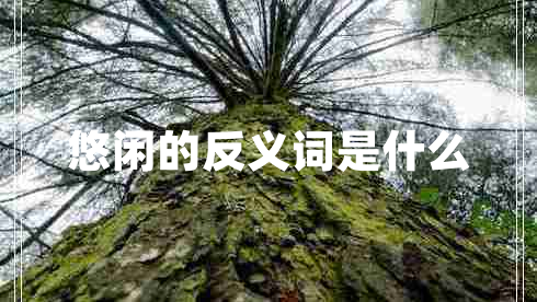 悠閑的反義詞是什么 悠閑的反義詞是什么