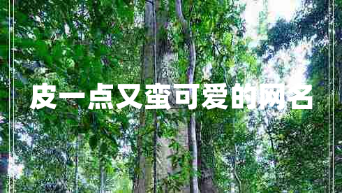 皮一點(diǎn)又蠻可愛(ài)的網(wǎng)名 皮一點(diǎn)又蠻可愛(ài)的網(wǎng)名