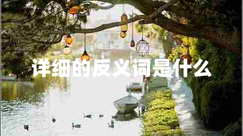 詳細的反義詞是什么