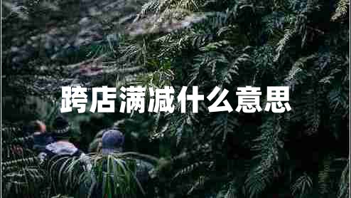 跨店滿減什么意思