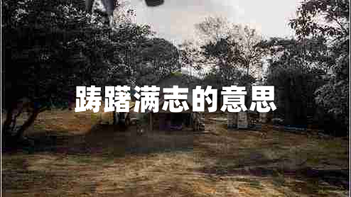 躊躇滿志的意思