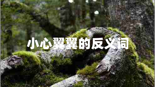 小心翼翼的反義詞