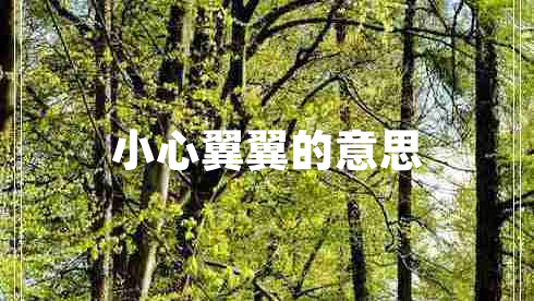 小心翼翼的意思 小心翼翼的意思