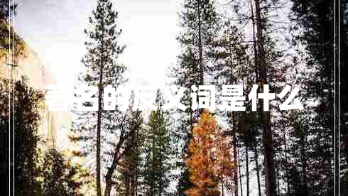 著名的反義詞是什么