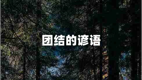 團(tuán)結(jié)的諺語