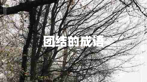 團(tuán)結(jié)的成語